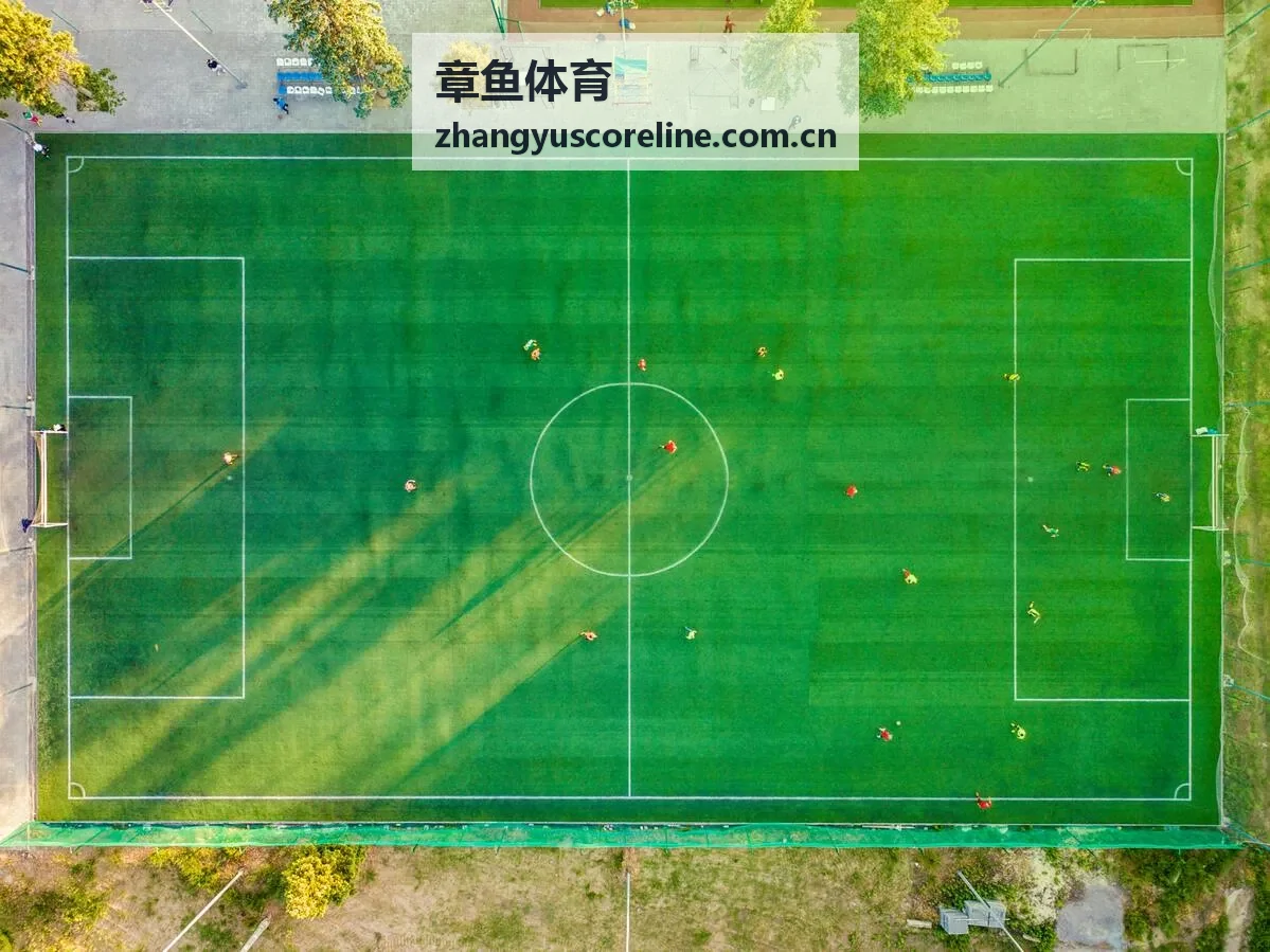 章鱼体育深度分析与高清战术解读